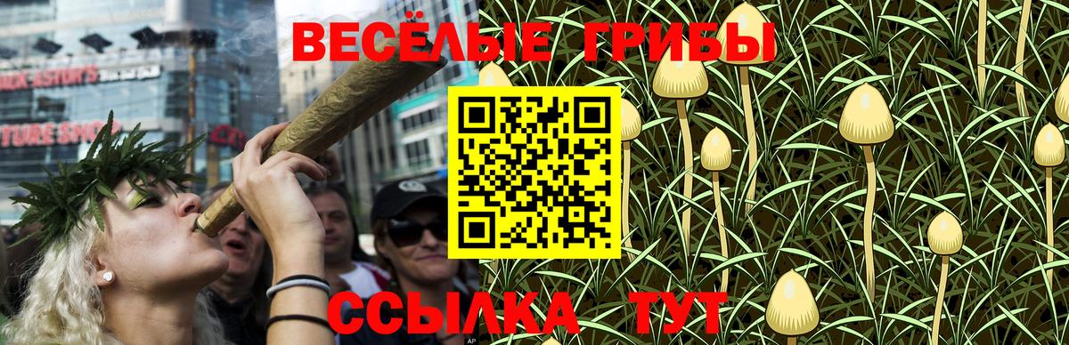 Галлюциногенные грибы GOLDEN TEACHER Майкоп